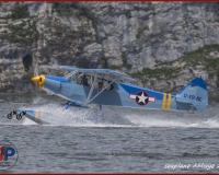 TSR Watermark - 0248